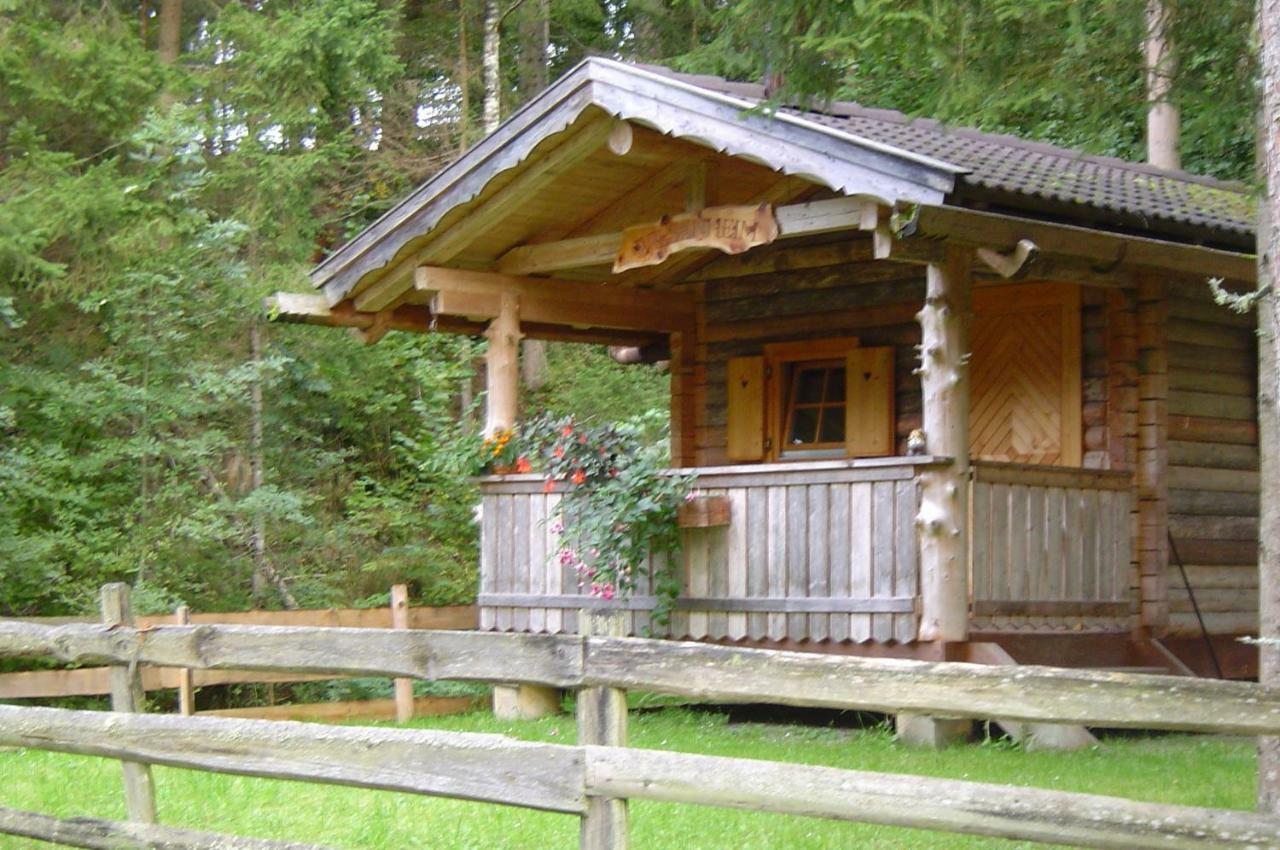 Haufhof-Pension Am Bauernhof, Haus Im Ennstal Bei Schladming Экстерьер фото